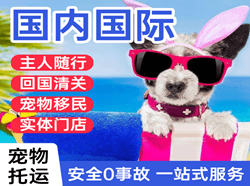 大水泊机场托运国际宠物托运 【国